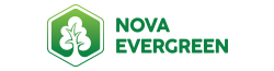 Nova Evergreen